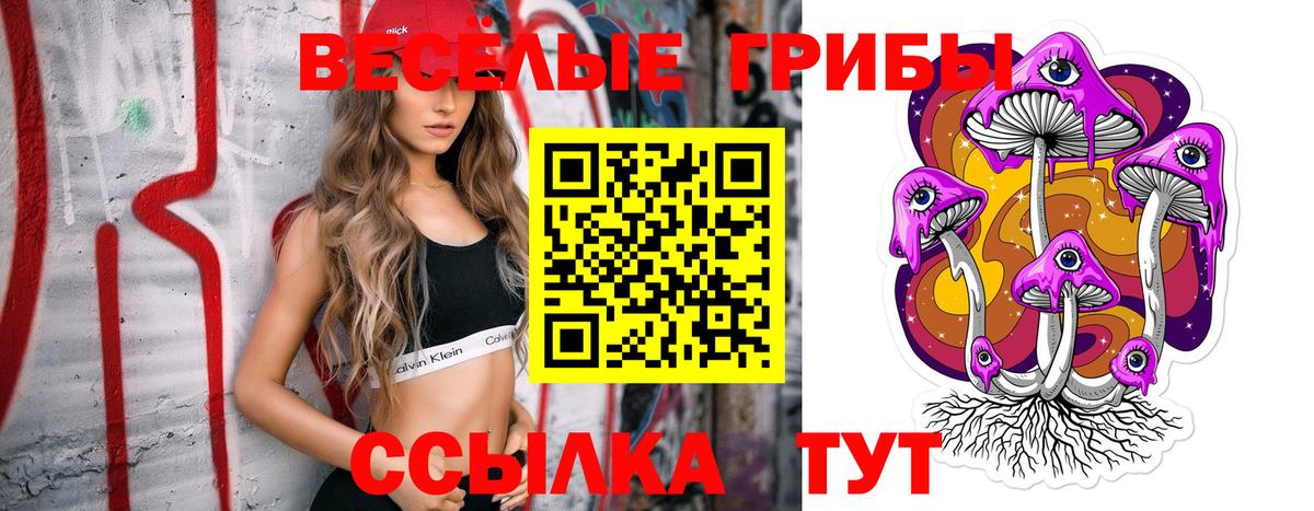Псилоцибиновые грибы MAGIC MUSHROOMS  Вход с VPN  Псилоцибиновые грибы Psilocybe  Железногорск 