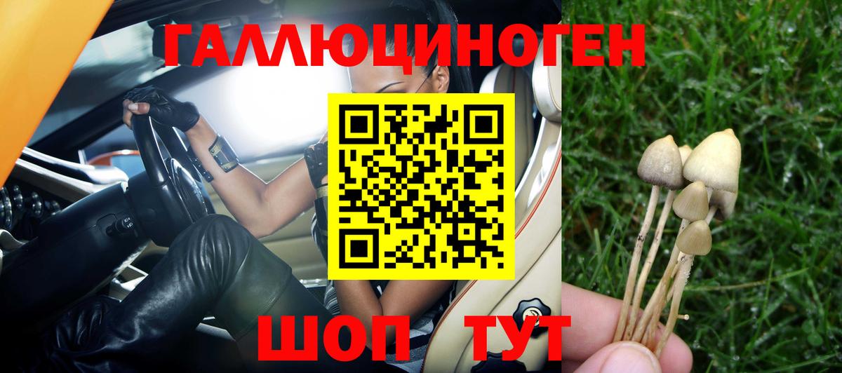 Галлюциногенные грибы Magic Shrooms Железногорск